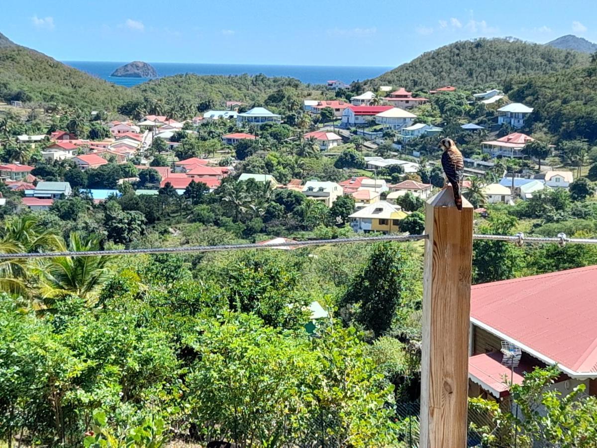 Villa KAZ ANOLI vue époustouflante sur la baie Terre-de-Bas Exterior foto